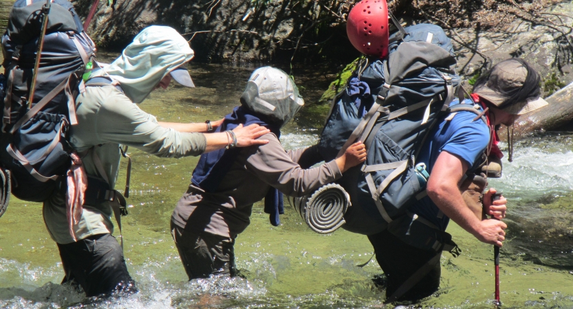 Three people stand in thigh-deep water in a single file line. The first one uses trekking poles to brace themselves, while the other two hold onto the person in front of them. 